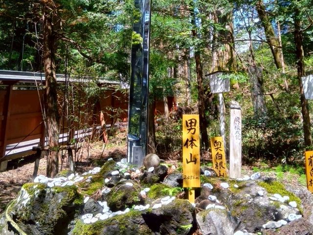 【栃木】日光市にある縁結び等で人気の古社！