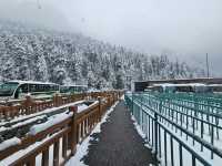 Hidden paradise in Sichuan.-Bipenggou
