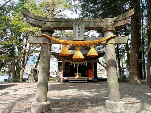 九大本線橫斷 由布院/大分/別府