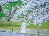 KANAZAWA | KYOTO THU NHỎ