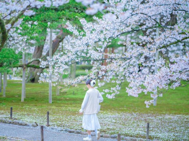 KANAZAWA | KYOTO THU NHỎ