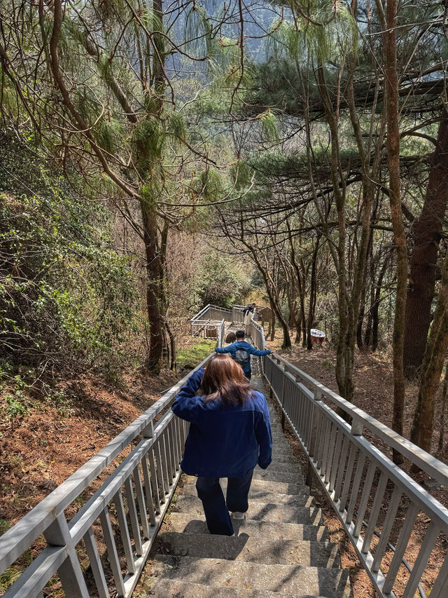 Floating into Spring: Riding the Cangshan Gantong Cable Car in Dali