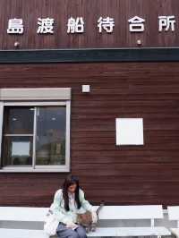 พาเที่ยวเกาะแมว Ainoshima Island