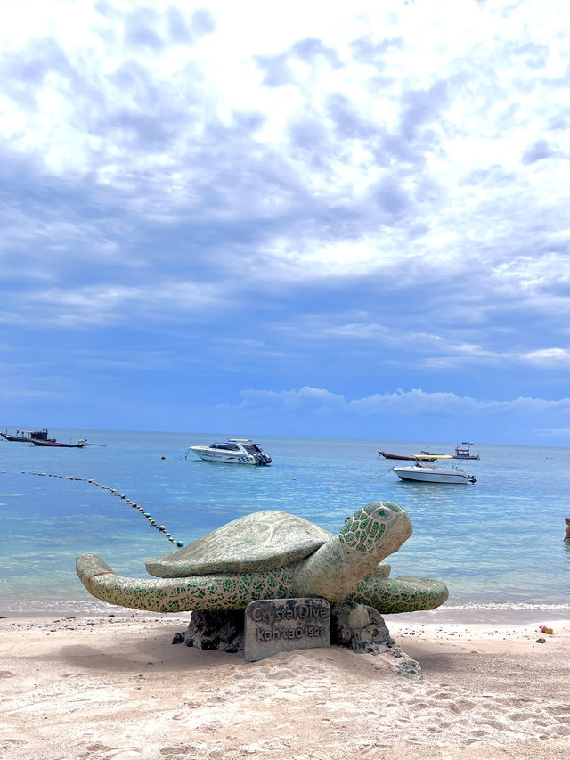 เกาะเต่า 🐢