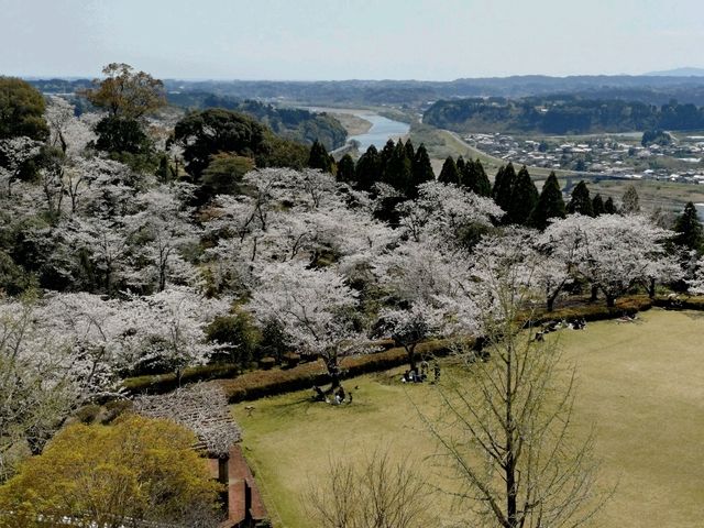 宮崎旅行