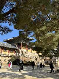 慶州佛國寺｜山腰上的世界遺產⏳
