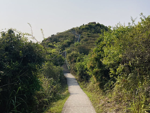 橋咀行山觀景～新手行山