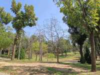 散步、放鬆、騎行，鹿鳴公園讓生活更美好！