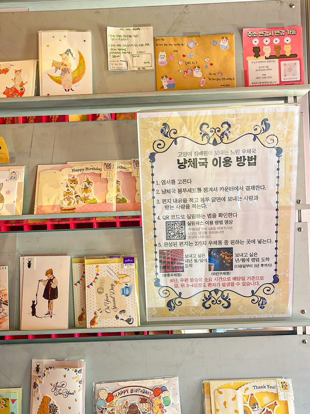 실내데이트로 좋은 고양이 굿즈 가득 이색 소품샵 