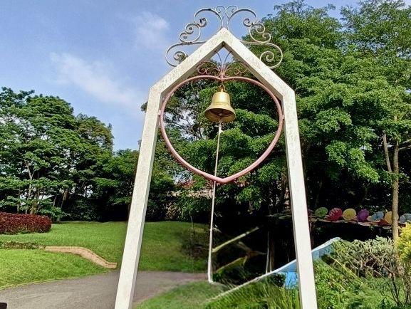 日踏桐花毯，夜數螢火星的西湖渡假村