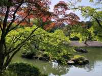 A Perfect Peaceful Escape