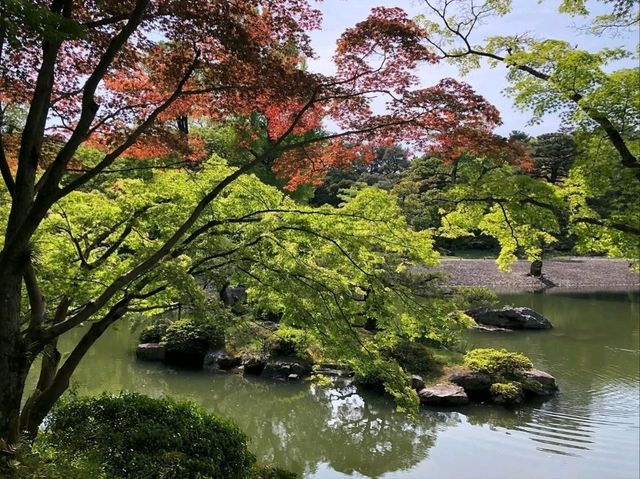 A Perfect Peaceful Escape