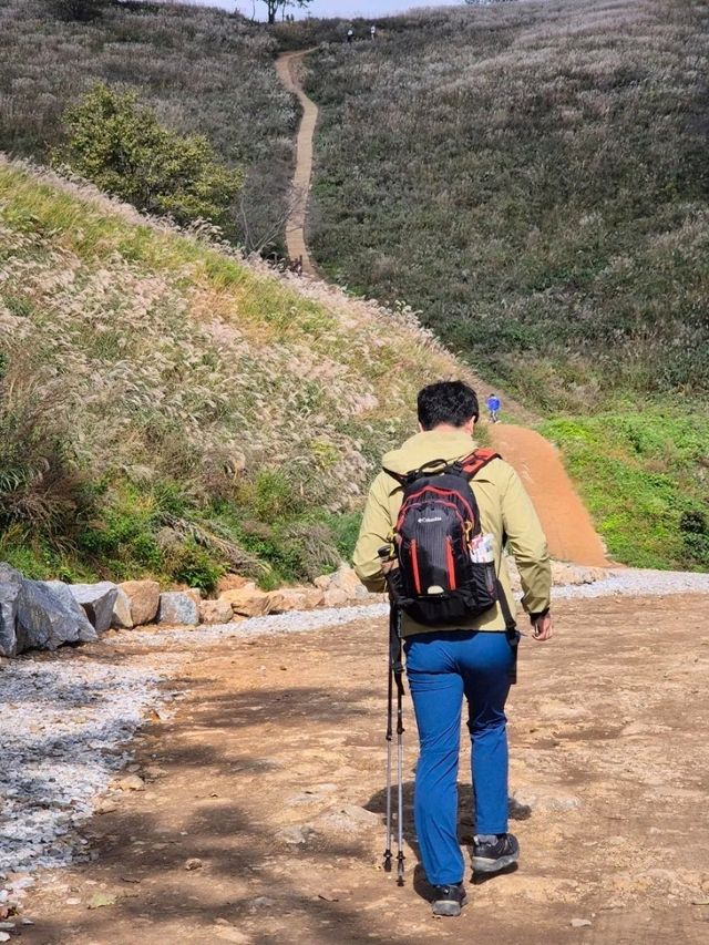아이와 정선민둥산 산행