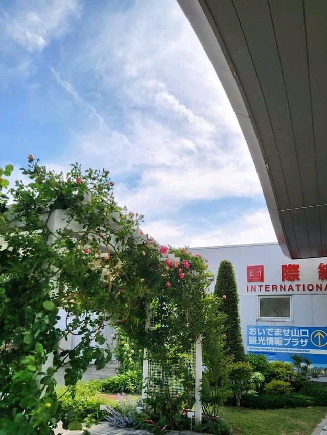 【山口グルメ】発酵おうちカフェてくてく堂
