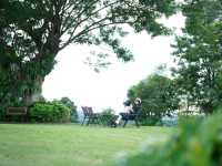 คาเฟ่และที่พักลานกางเต๊นท์กลางเขาวังน้ำเขียว