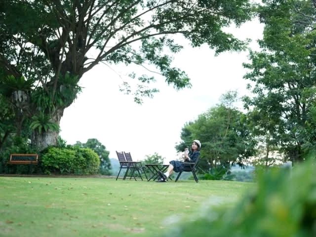คาเฟ่และที่พักลานกางเต๊นท์กลางเขาวังน้ำเขียว