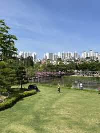 가족과 함께하는 도심 속 힐링, 부산시민공원🌿