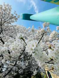 Seongnam: A Harmonious Blend of Tradition and Modernity
