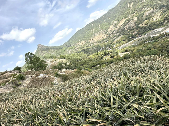 這個是中山的丫髻山