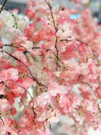 Sakura Symphony Along Shukugawa