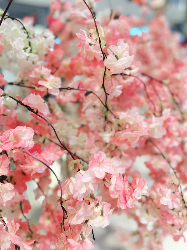 Sakura Symphony Along Shukugawa