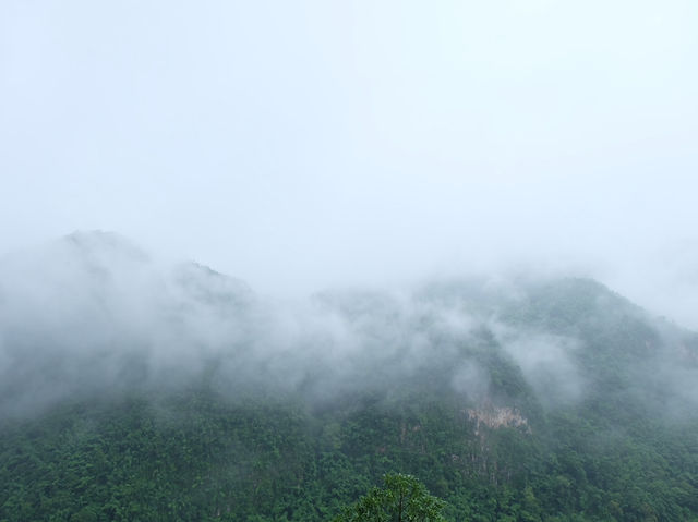 จัดเต็มที่เที่ยวบน•ดอยอ่างขาง•🌳🌧️