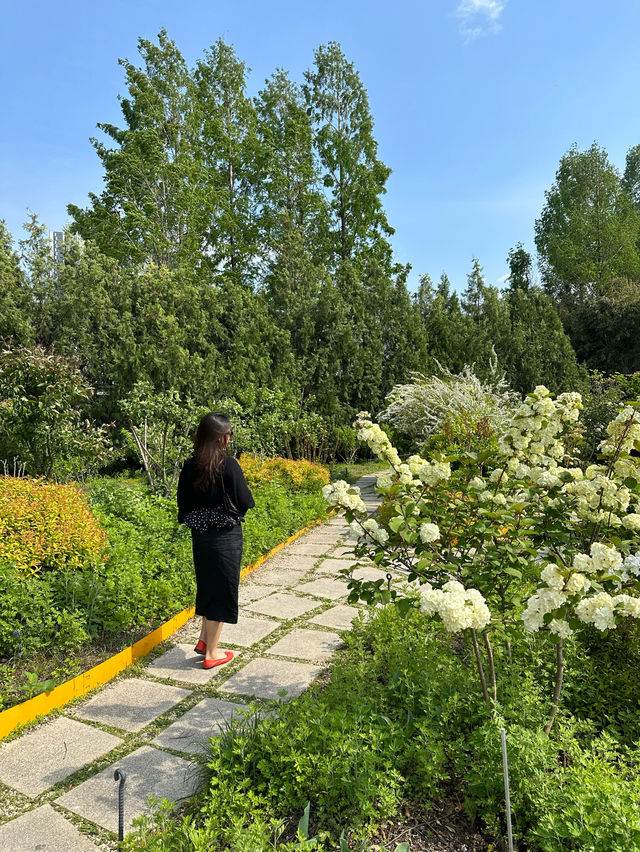 Exploring Seoul Forest 🌳🌿🌴🌱🦌: A Green Oasis in the City