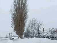 Moerenuma Park – Where Art Meets Nature in Sapporo