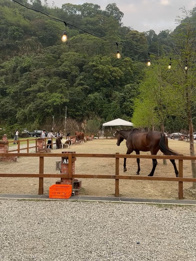 台南｜露營風咖啡廳 山裏🏕️