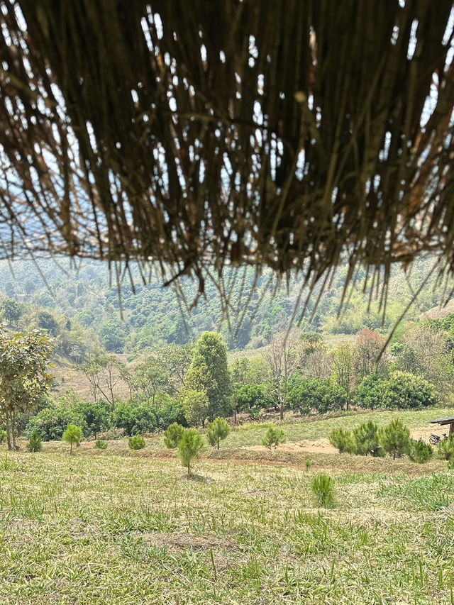 ฟาร์มในฝันที่มีมากกว่าความสวย…🌾🐑