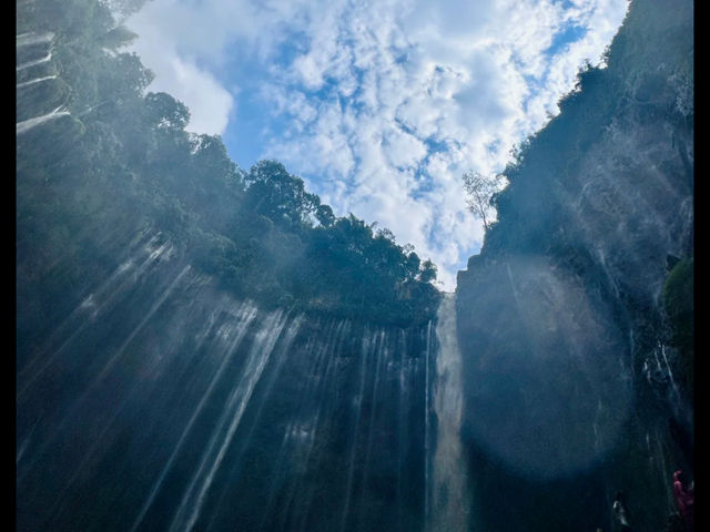 🌍✈️ Open the Window to the World — Then Get Caught in an Equatorial Rain! ☔️🌴