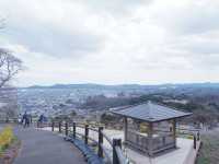 東京至東北攻略：船岡公園賞櫻