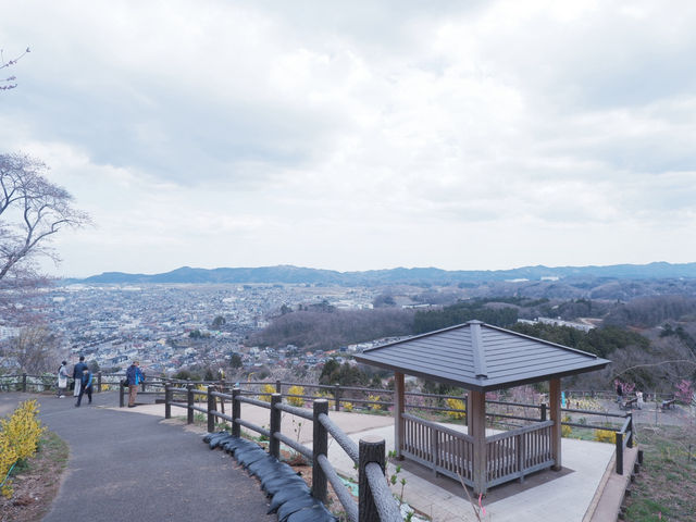 東京至東北攻略：船岡公園賞櫻