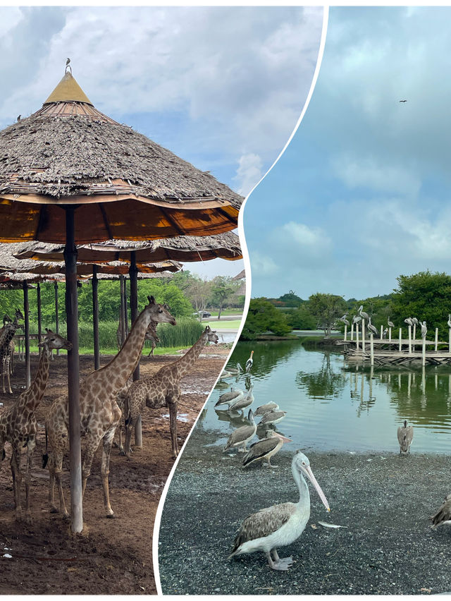Wildlife experience in Safari World Bangkok