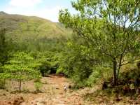 It's the journey and the destination, beauty of Anawangin Cove