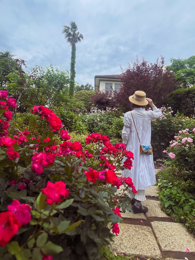 横浜🌹素敵な癒しのスポット🌹港の見える丘公園🥰