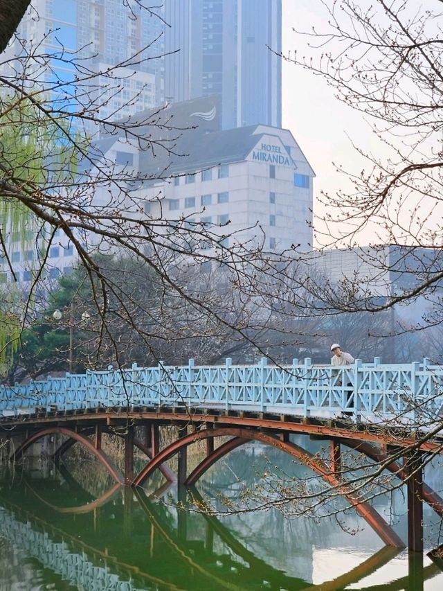 이천 천연온천수물이좋은 💚미란다호텔