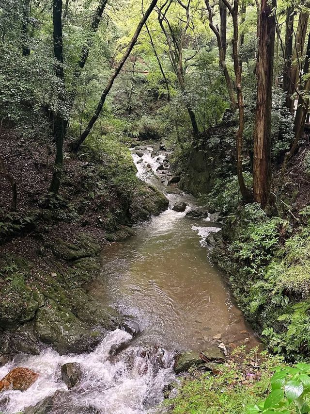 Spring Strolls & Waterfall Goals