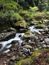 Spring’s Waterfall Wonderland