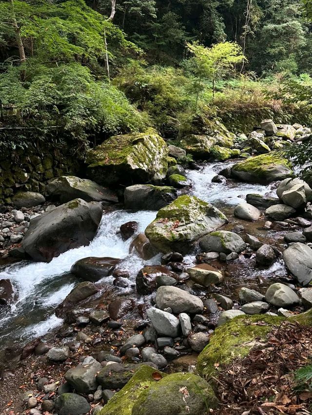Spring’s Waterfall Wonderland