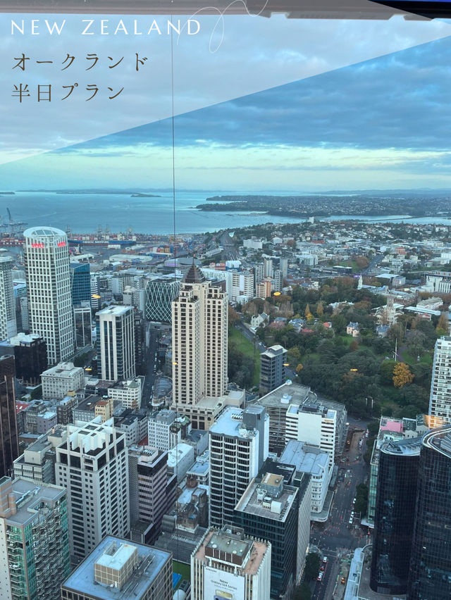 【NZ】✈️オークランド到着日の半日プラン🇳🇿