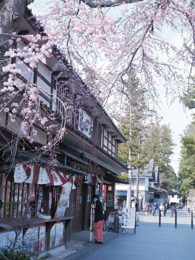 日本三景之一：松島  