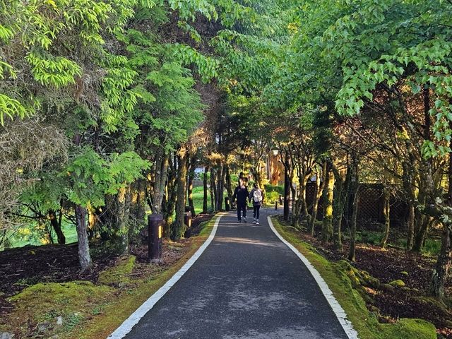 行！走入超完美芬多精仙境～阿里山森林公園