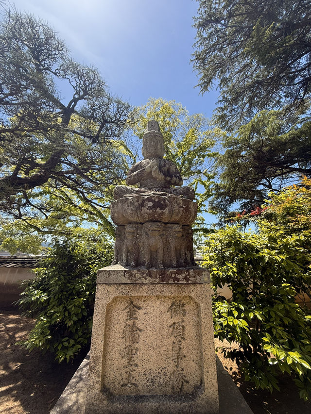 岡山｜寂靜無人的寶壽山觀龍寺 見證東密與神道分合的寺院