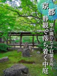 【行く前にこれ見て】禅の境地へ誘う翠の庭園！🌿🐉※周辺観光情報付 