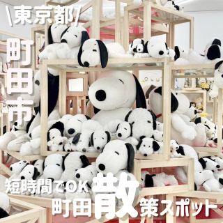 A Convenient Half-Day Trip to the Machida Area
