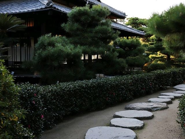【🇯🇵高松】朝の静寂に包まれた玉藻公園で心穏やかなひとときを
