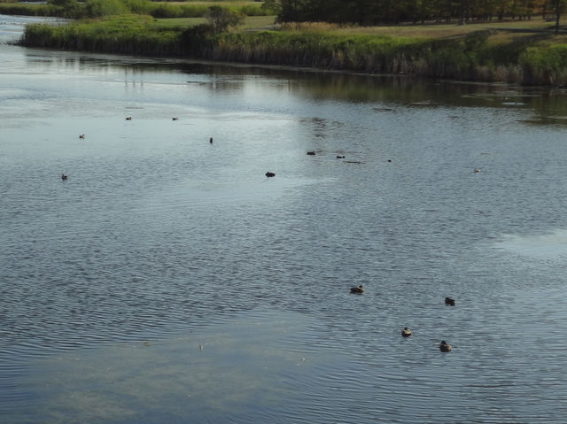 Yoga at Wascana Lake, Regina, Saskatchewan Canada