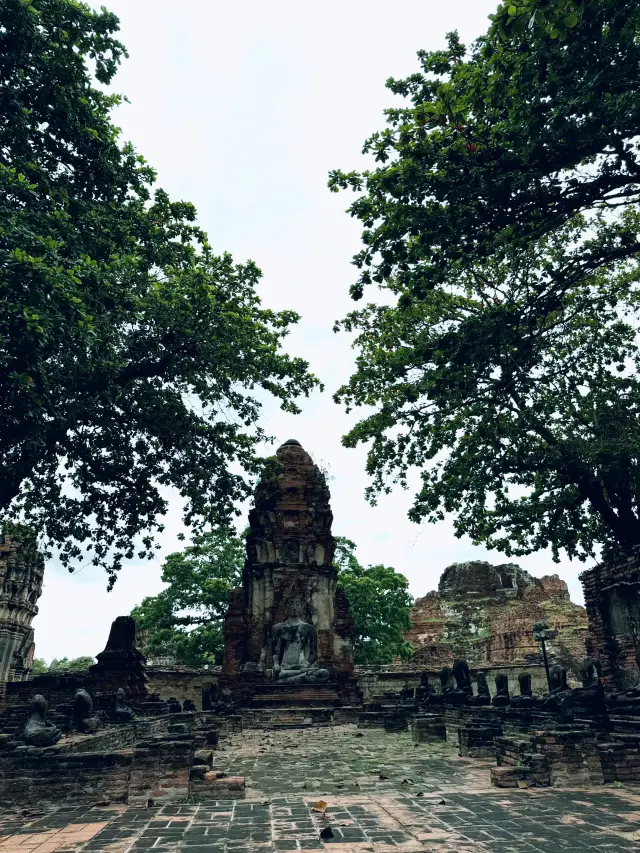 瑪哈泰寺 大城歷史遺跡