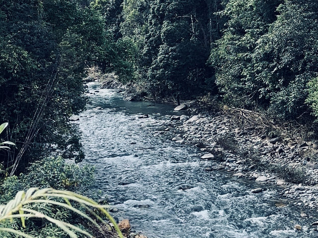 Lata Changkah: Where Vibes Meet Slippery Rocks